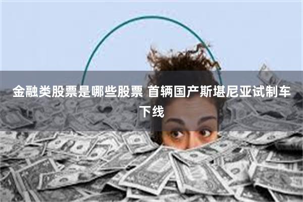 金融类股票是哪些股票 首辆国产斯堪尼亚试制车下线