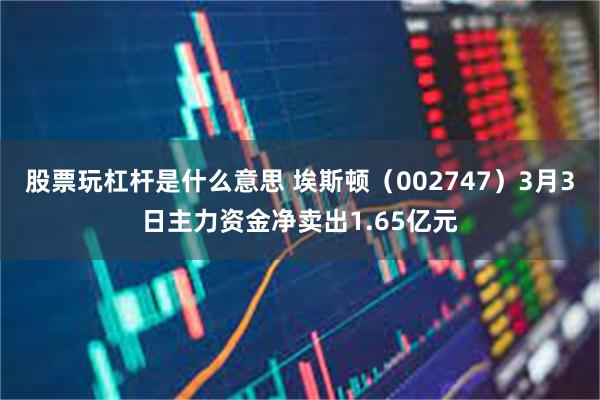股票玩杠杆是什么意思 埃斯顿（002747）3月3日主力资金净卖出1.65亿元