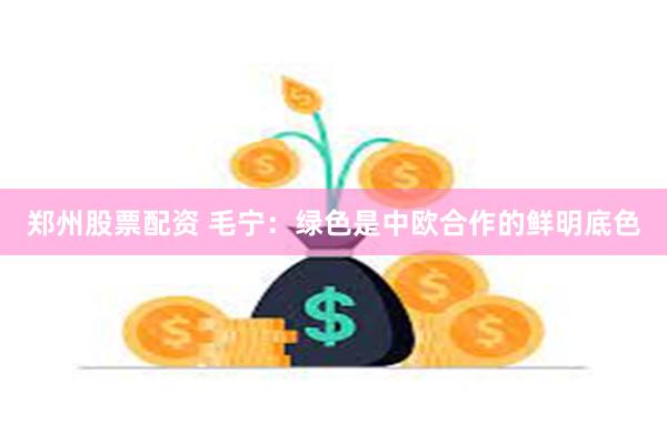 郑州股票配资 毛宁：绿色是中欧合作的鲜明底色