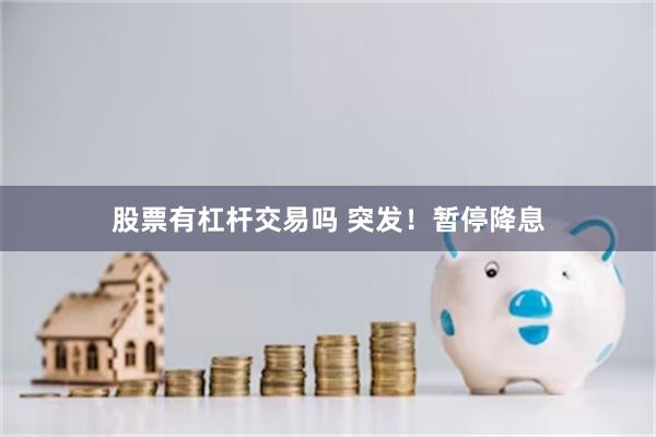 股票有杠杆交易吗 突发！暂停降息